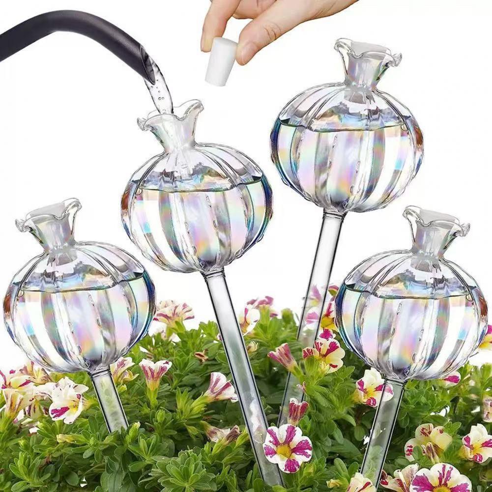 Smart Garden Kitchen - Ampoules d'arrosage automatique de Cactus de