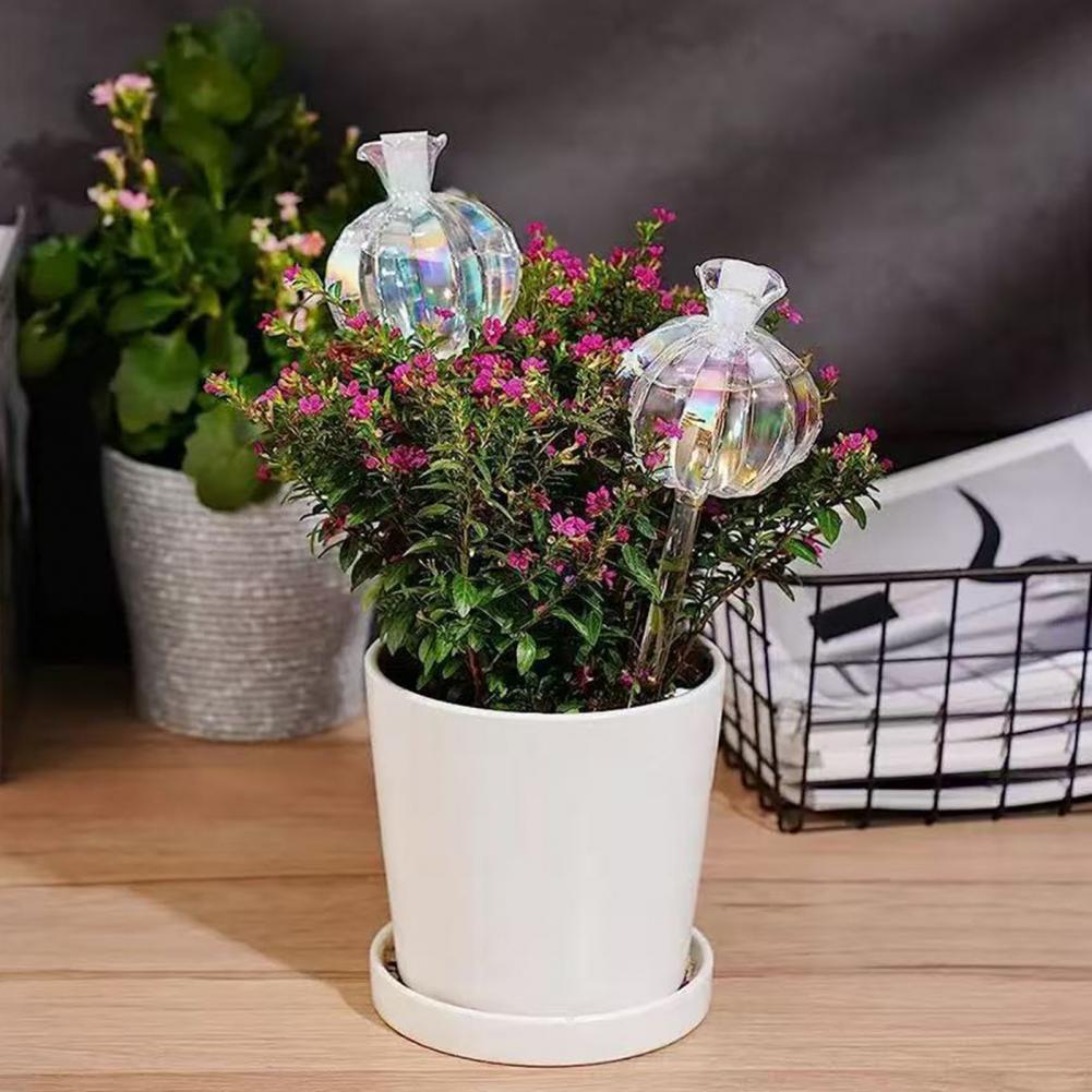 Ampoules d'arrosage automatiqu - Smart Garden Kitchen avis et prix