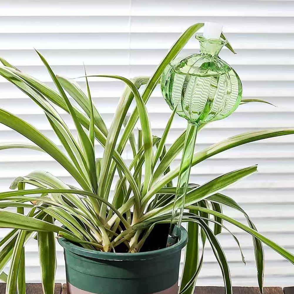 Ampoules d'arrosage automatiqu - Smart Garden Kitchen avis et prix