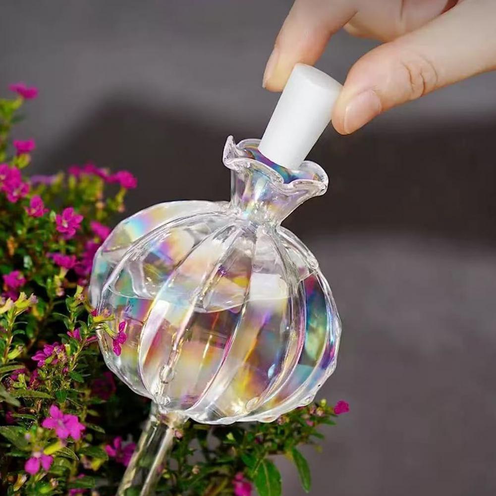 Ampoules d'arrosage automatiqu - Smart Garden Kitchen avis et prix