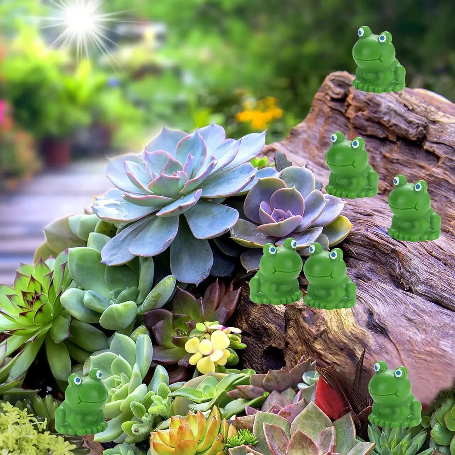 Mini grenouilles vertes en rés - Smart Garden Mini avis et prix