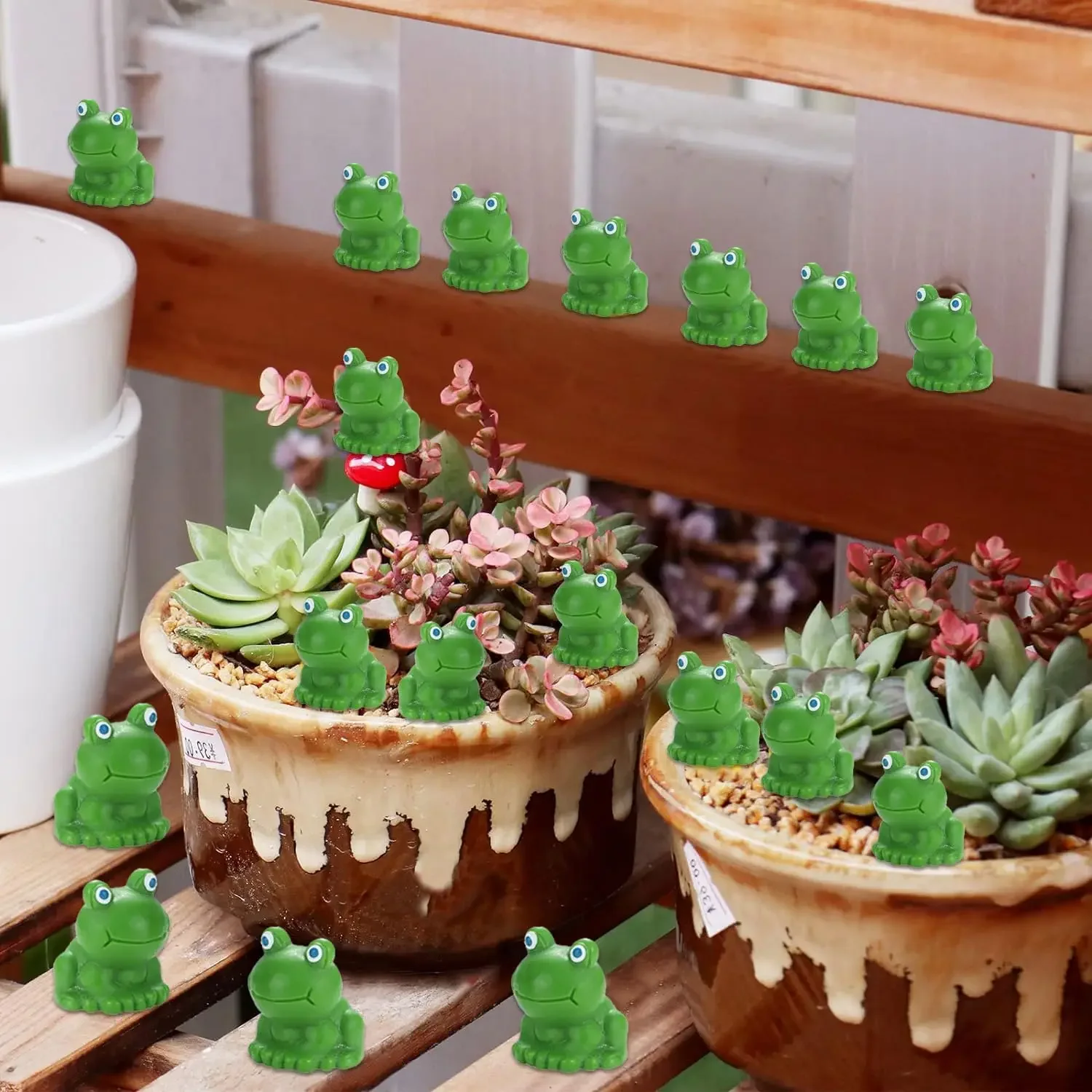 Mini grenouilles vertes en rés - Smart Garden Mini avis et prix